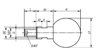 BALL GRIP REVOLVING D1=50 D=M12X21 DUROPLAST, COMP:STAINLESS STEEL 