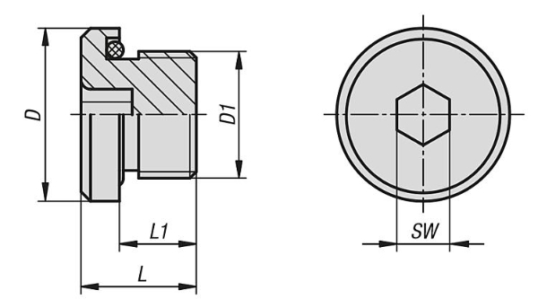 K1102 Screw plugs with hexagon socket Drawing