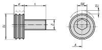 Cam screws